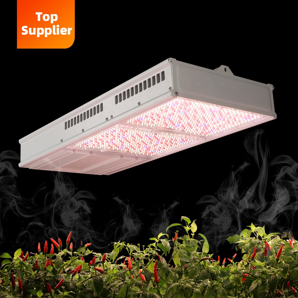 Grow Light Led - Kosteneffectieve 600W 800W Toplight Volspectrum Indoor