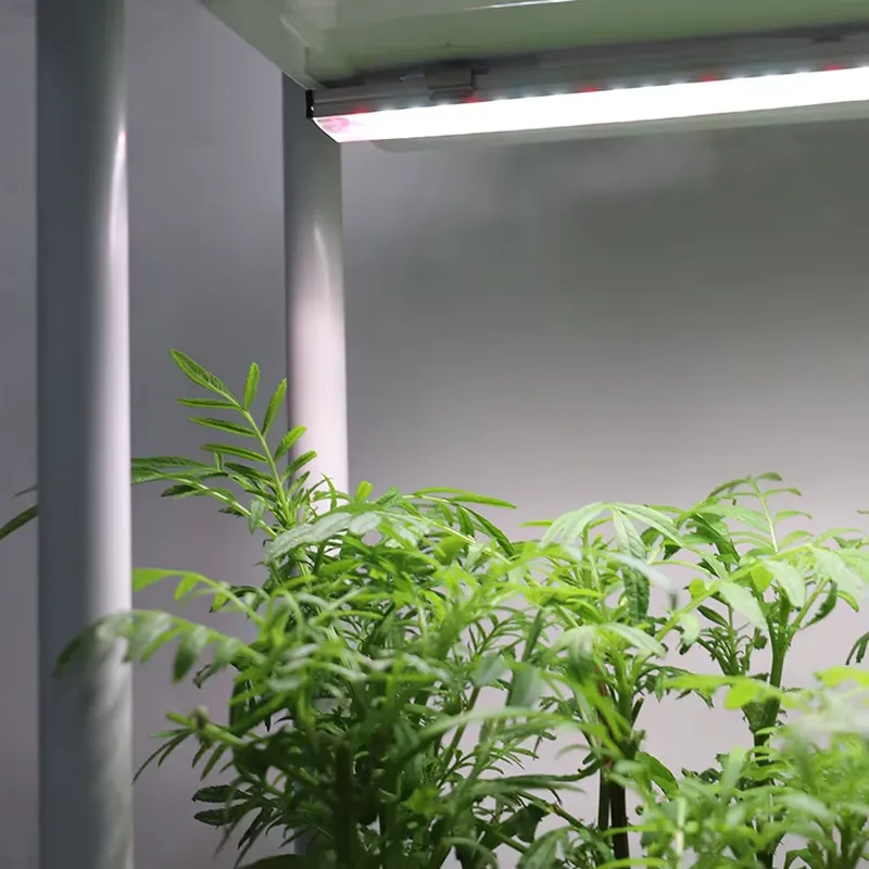 Indoor Herb Garden - Verplaatsbaar verticaal 3-laags zelfwaterende slimme tuinplantbak