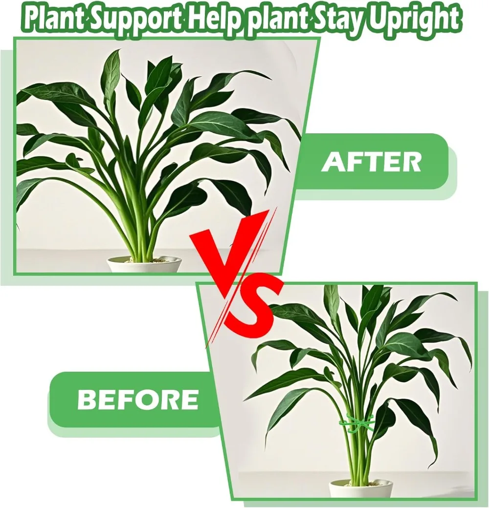 Bloem Plant Stem Ondersteuning - Indoor Herb Garden recensie en prijs