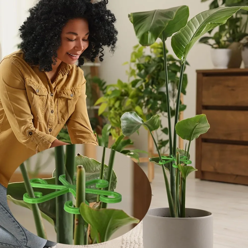 Bloem Plant Stem Ondersteuning - Indoor Herb Garden recensie en prijs