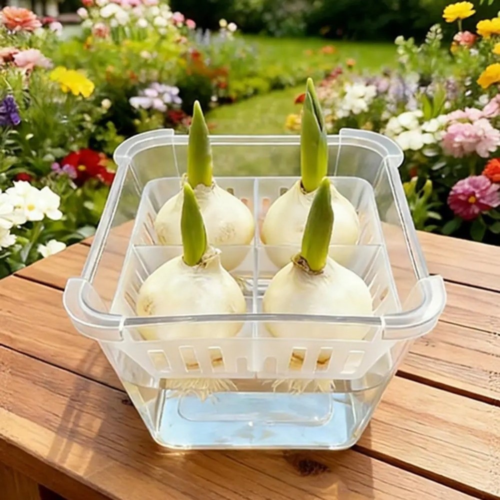 3 stuks 4-vakjes design hydrop - Self Watering Planter recensie en prijs