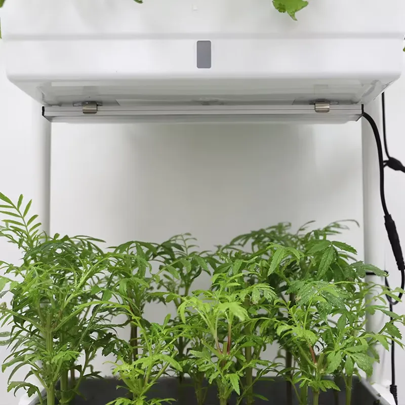 Verplaatsbaar verticaal 3-laag - Indoor Herb Garden recensie en prijs