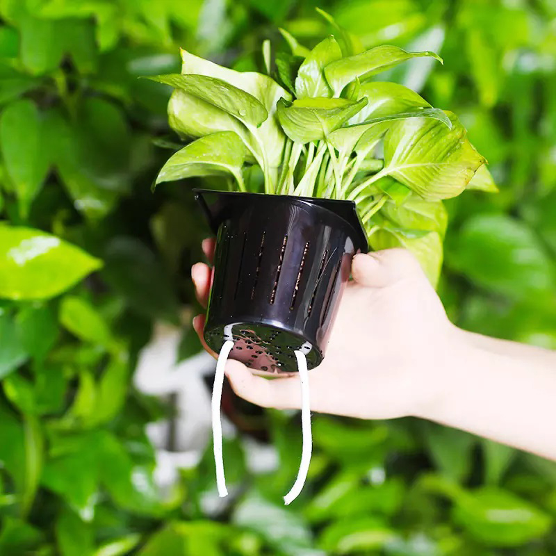 Hydroponics Indoor Kit 2 vierk - Hydroponic Kit recensie en prijs