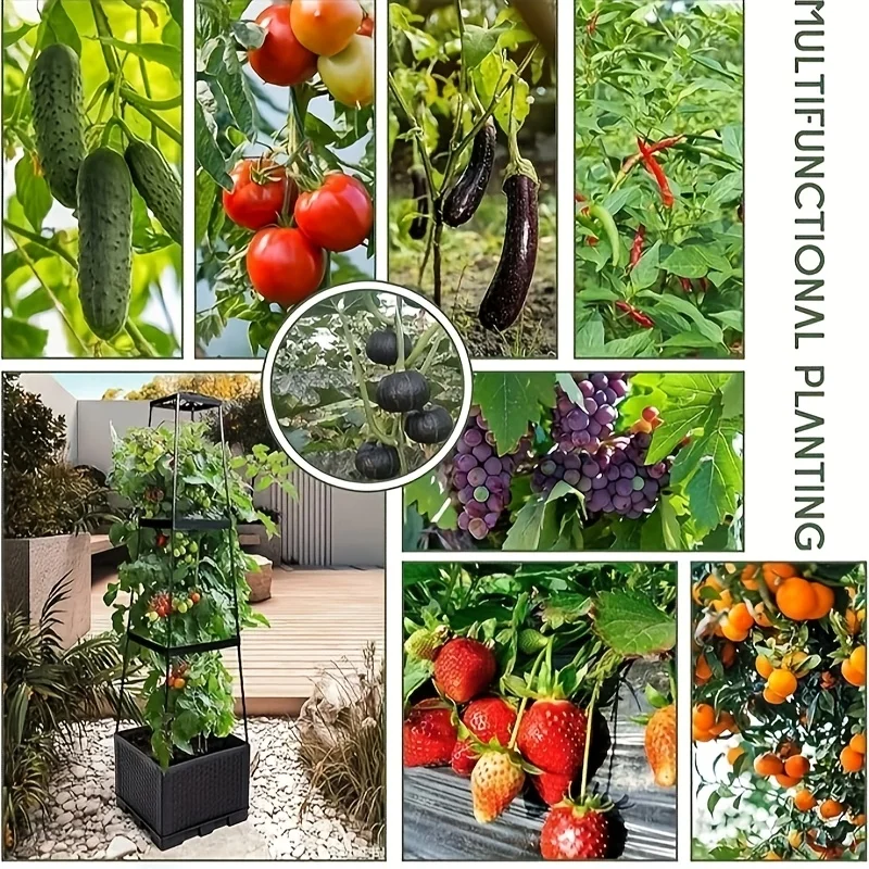 Tomatentoren met een zelfwater - Indoor Herb Garden recensie en prijs