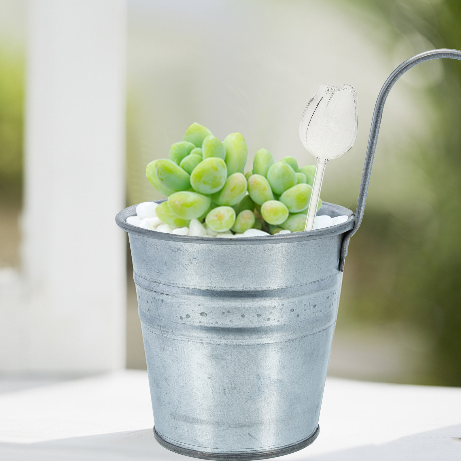 2 stuks hoogwaardige glazen wa - Self Watering Planter recensie en prijs