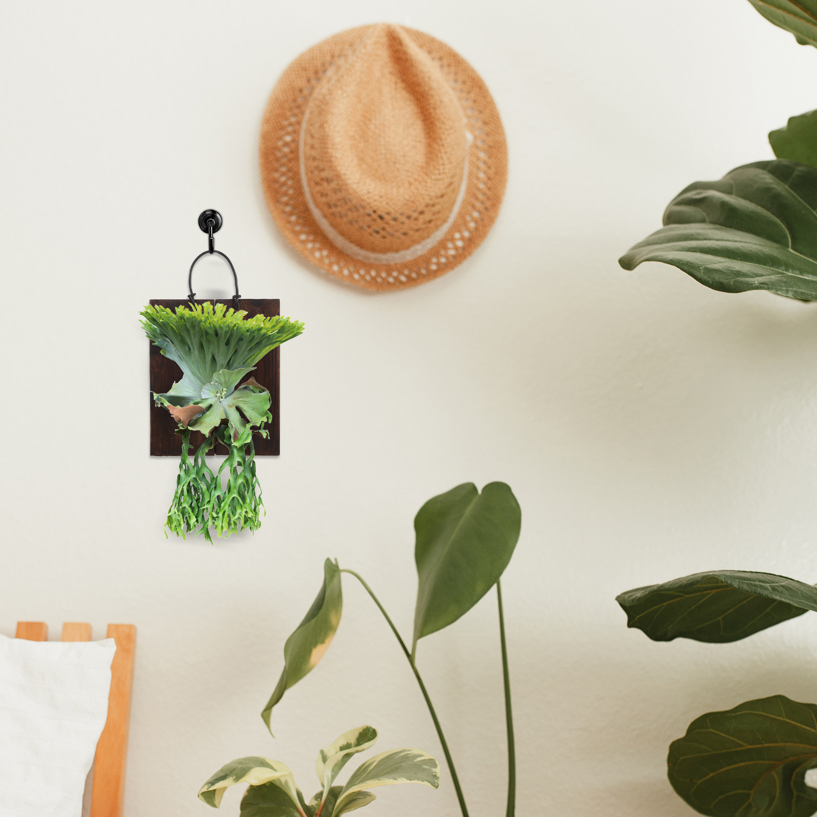 Montageplaat voor hertenhornta - Vertical Planter recensie en prijs