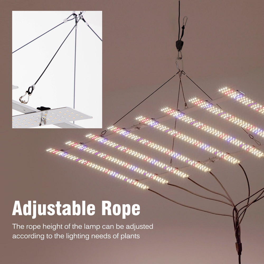 🌴 100W 200W dimbare LED kweekl - Grow Light Led recensie en prijs