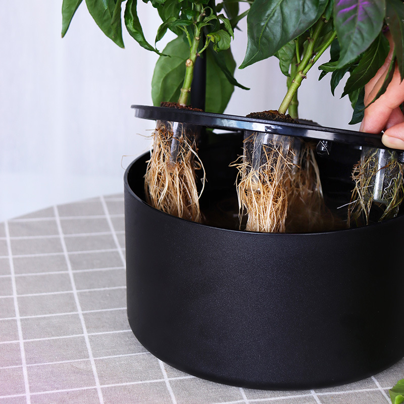 Slimme hydrocultuur kweekset v - Hydroponic Kit recensie en prijs