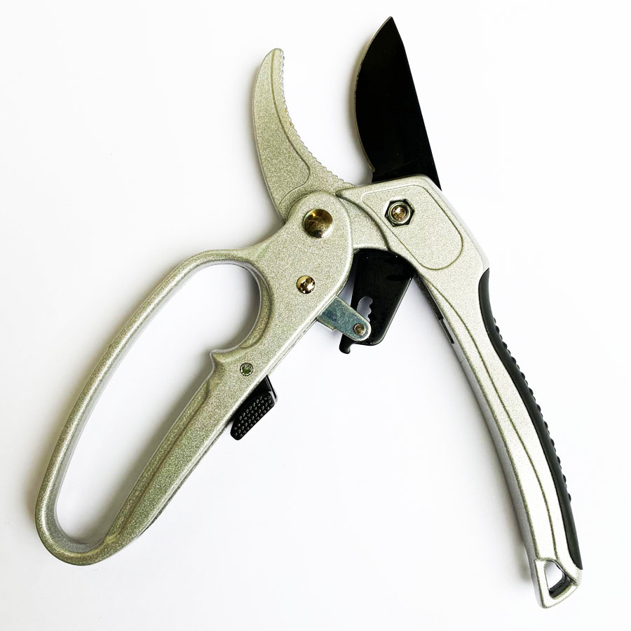 Professionele ratel snoeischaa - Pruning Shears recensie en prijs