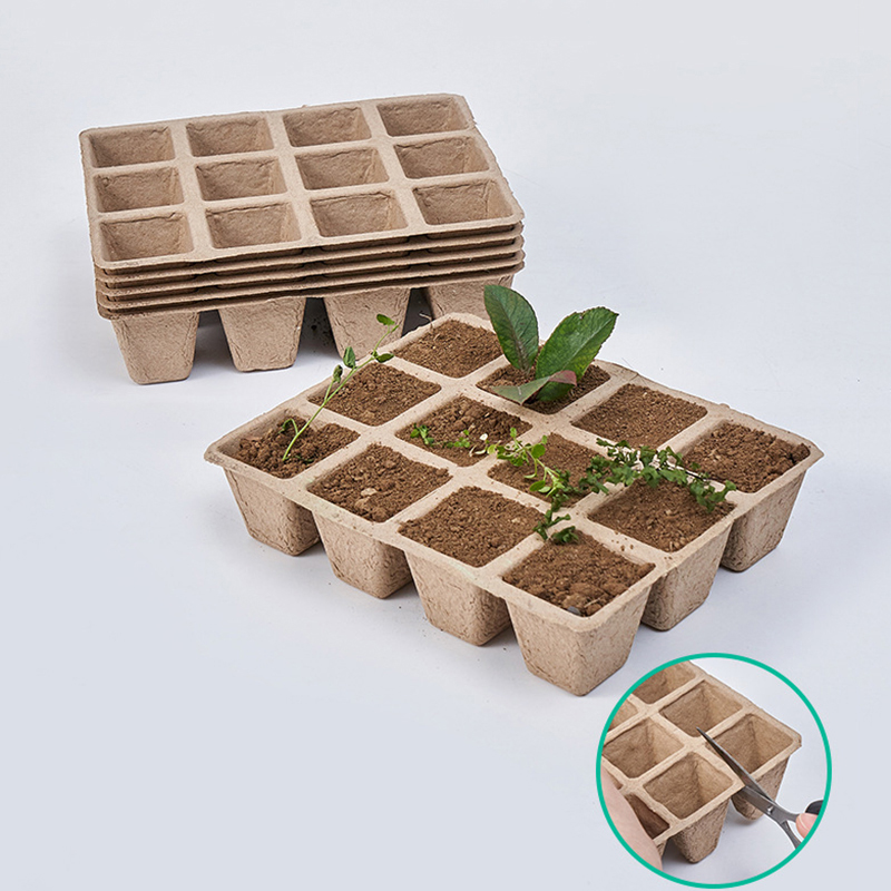 5 Stuks 12-Holes Plant Kwekeri - Seed Starter Tray recensie en prijs