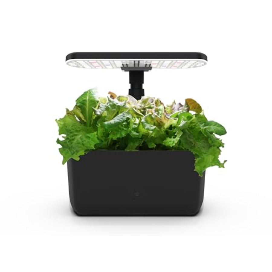 Indoor hydroponische tuin voor - Indoor Herb Garden recensie en prijs