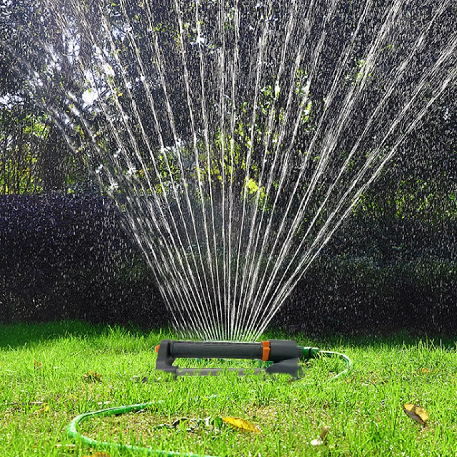 Water sprinkler oscillerende t - Raised Garden Bed recensie en prijs