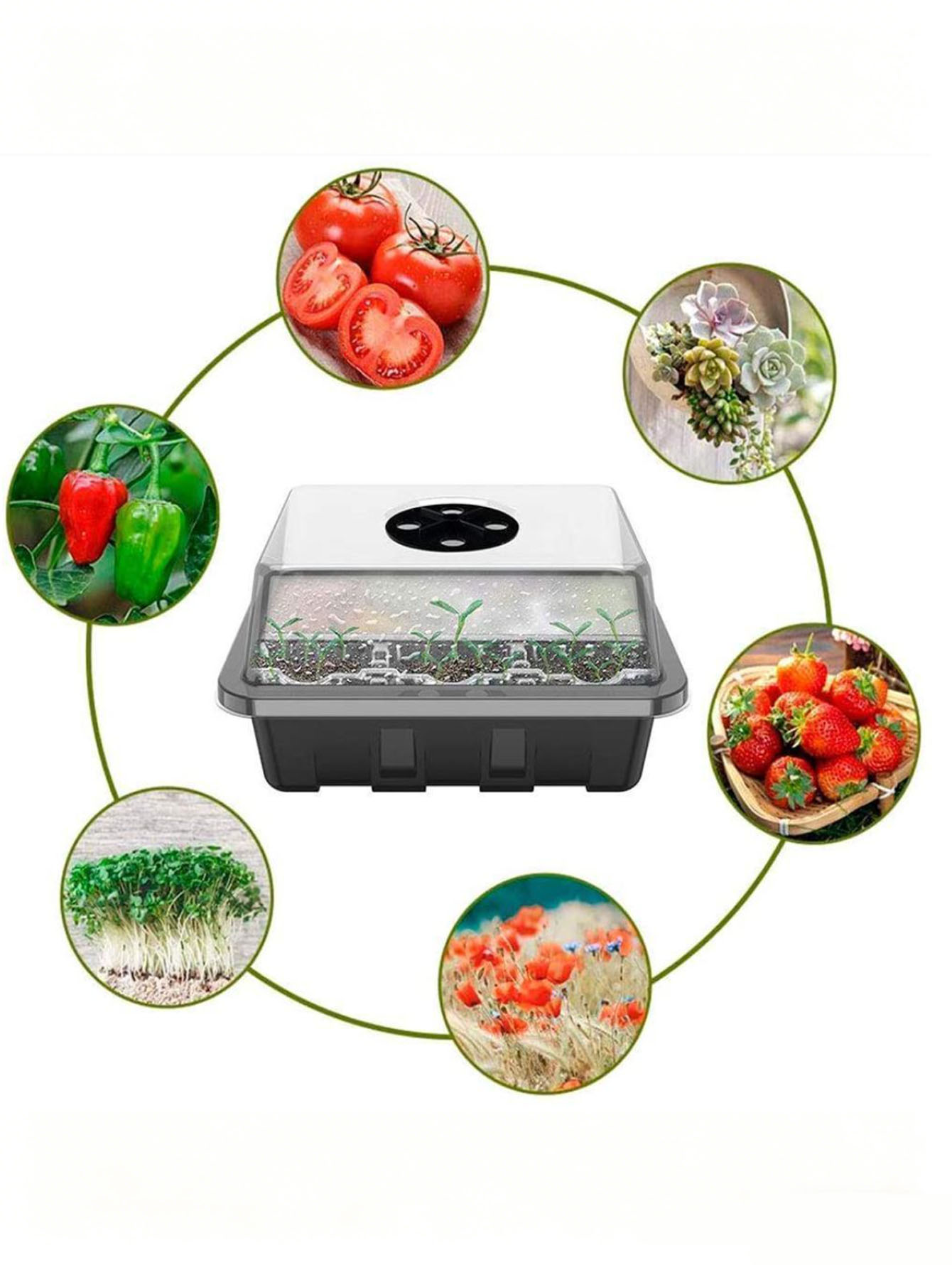 1/2 stuk zaaitray met 6/12 gat - Seed Starter Tray recensie en prijs