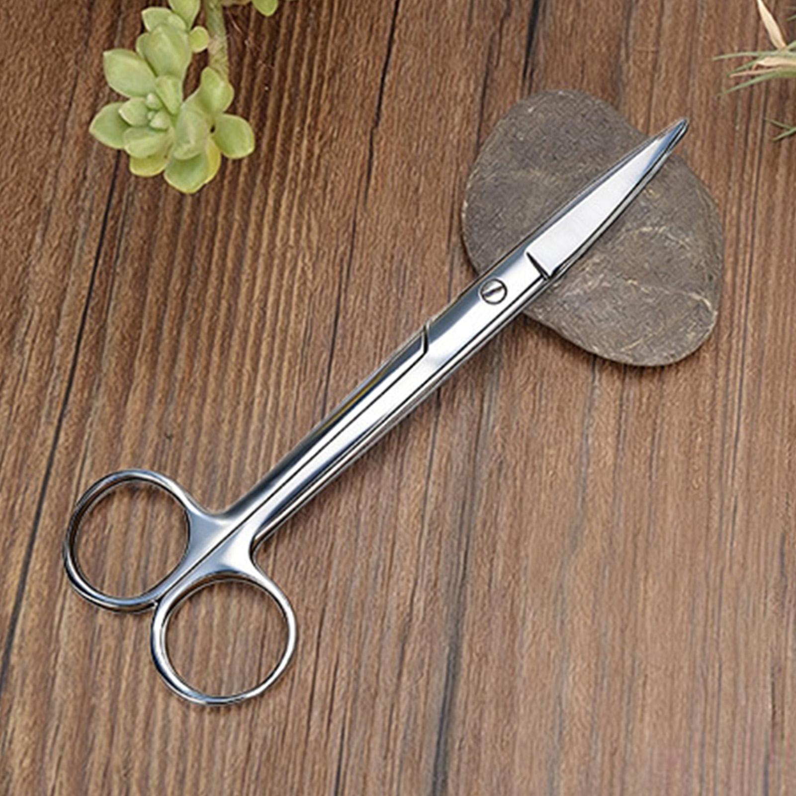Plantenschaar Roestvrij staal  - Pruning Shears recensie en prijs