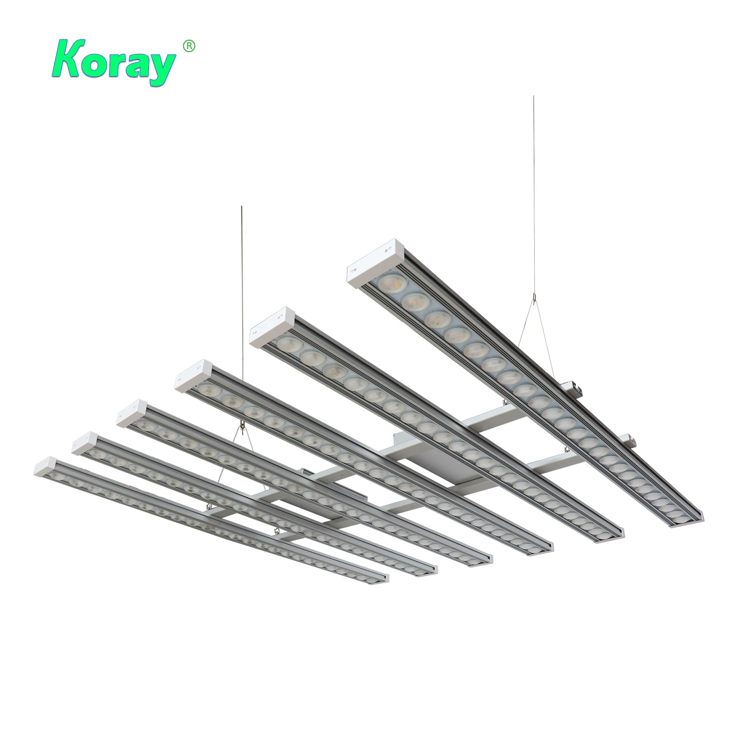 Koray 900W Indoor full spectru - Grow Light Led recensie en prijs