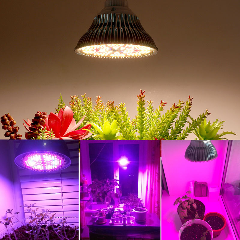 2026 Nieuwe 300W LED Volledig  - Grow Light Led recensie en prijs
