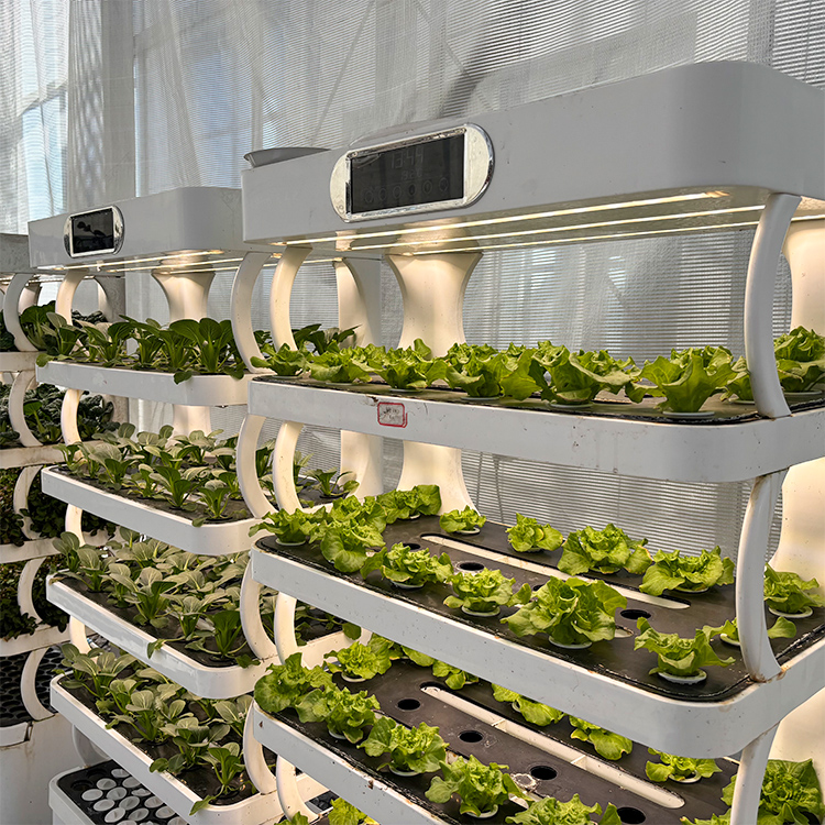 Slimme verticale hydroponische - Grow Light Led recensie en prijs